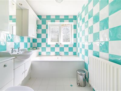 Picture 20